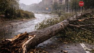 Temporal en Castilla-La Mancha