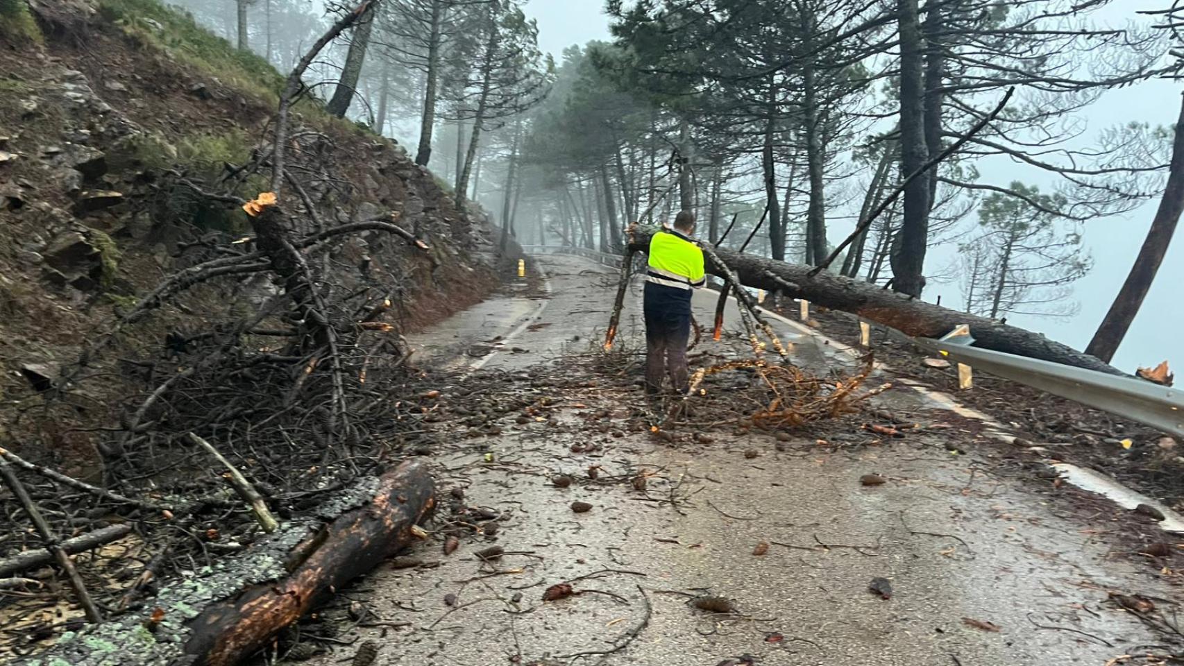 Estado de la carretera MA 8301 en Málaga tras la borrasca.