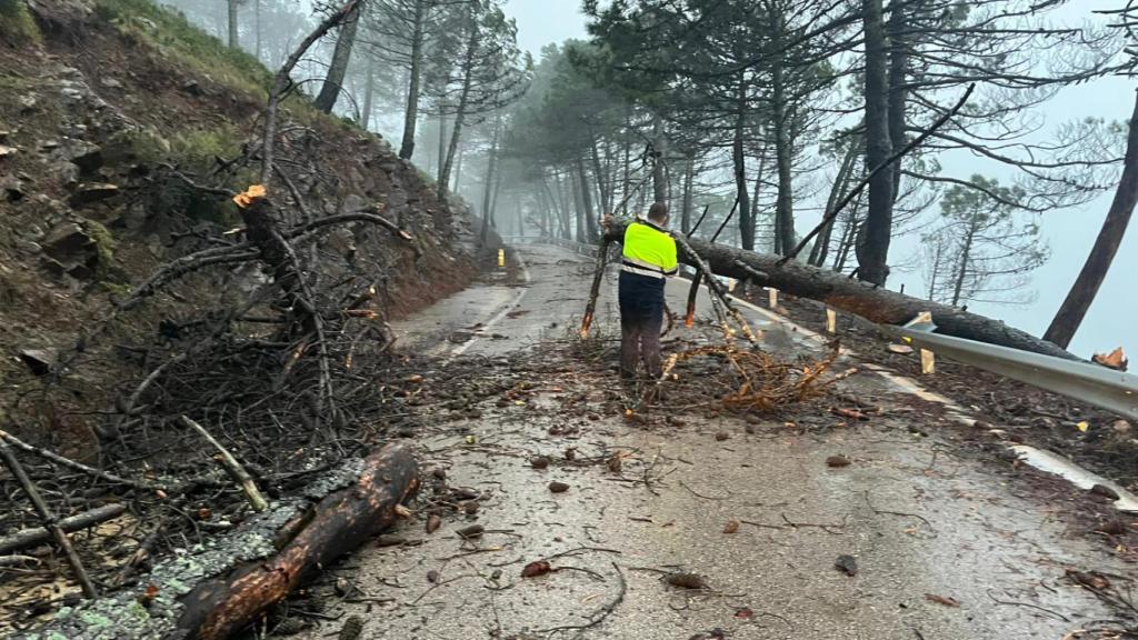 Estado de la carretera MA 8301 en Málaga tras la borrasca.