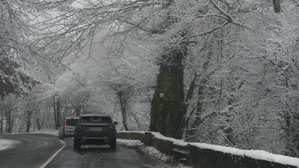 Nevada caída en Ourense, Galicia (España)