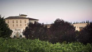 Bodega Finca Torremilanos en la provincia de Burgos.