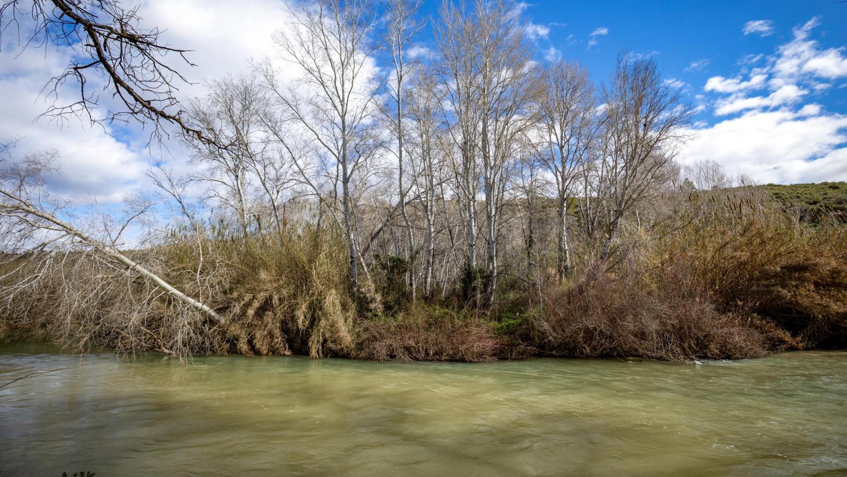 El río Segura a su paso por Calasparra en Murcia.