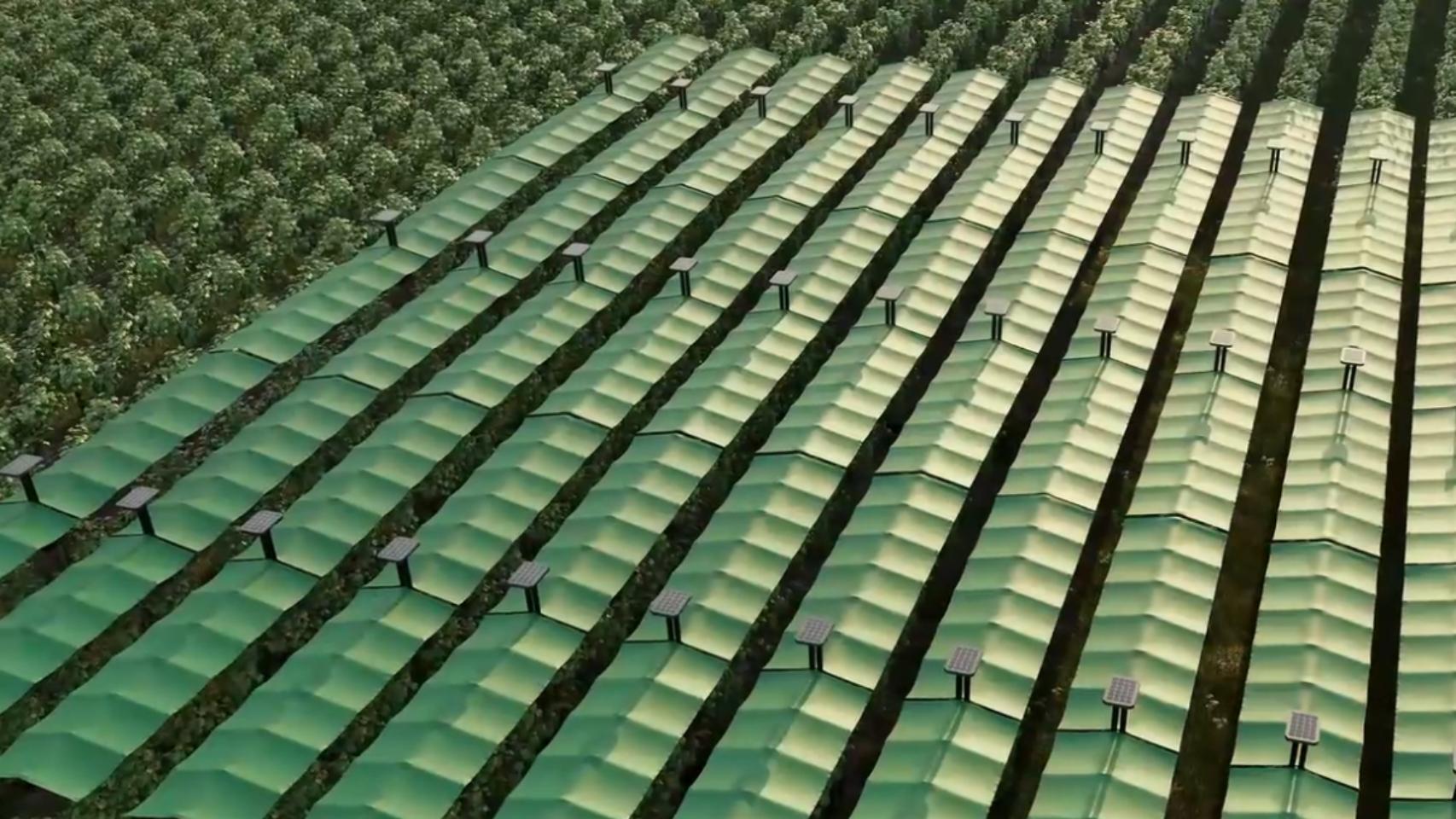 El sistema Canopée para proteger viñedos