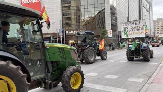 Agricultores de Alicante piden soluciones para el campo en una multitudinaria tractorada: Nos están matando