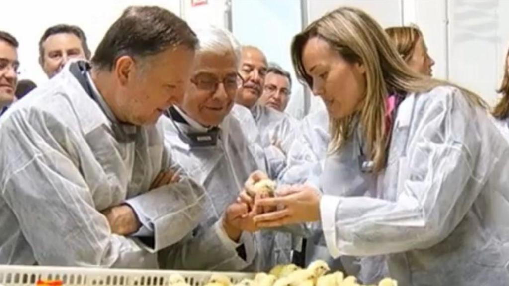 Pilar Alegría muestra al entonces presidente de Aragón, Marcelino Iglesias, cómo se diferencia el sexo de los pollos.