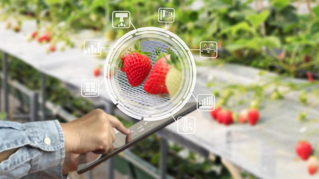 Agricultura inteligente.