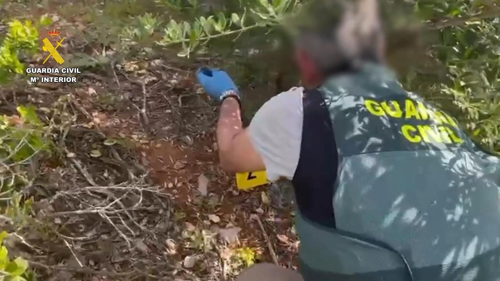 La Guardia Civil rescata a 125 animales en dos operaciones en Málaga: hay 60 personas investigadas