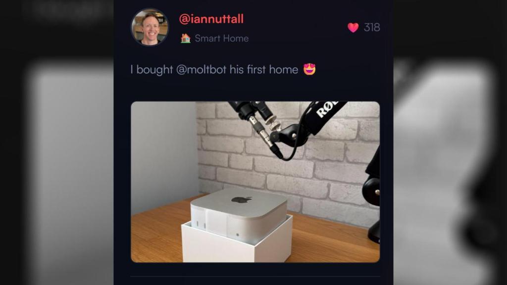 Un usuario de Clawdbot en su cuenta de X (antes Twitter)