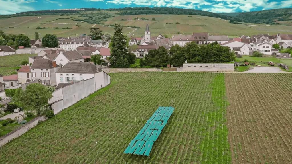 Uno de los ensayos de Bienesis en un viñedo de Borgoña.