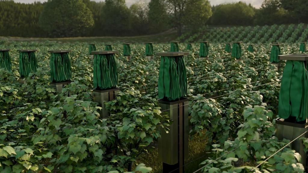 Los toldos retráctiles se pueden desplegar automáticamente.