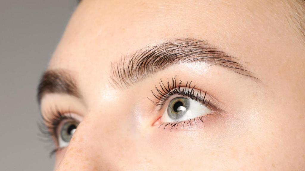 Imagen de unas cejas.