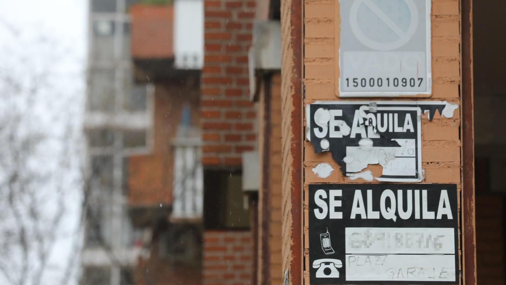 Varios carteles de 'Se Alquila'.