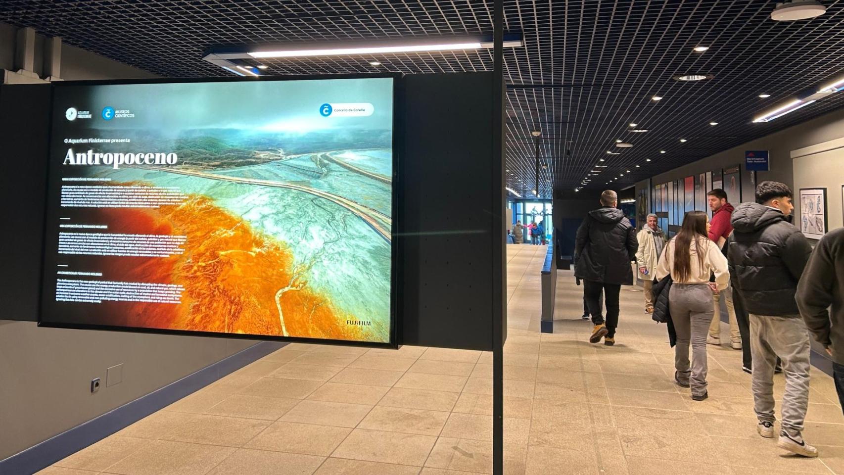 La exposición 'Antropoceno' en el Aquarium Finisterrae de A Coruña.
