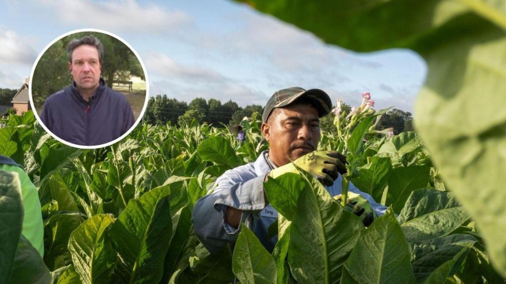 Montaje con Andrés García, presidente de la Unión de Uniones de Agricultores Castilla-La Mancha (Antena 3), y un agricultor (Imagen de archivo).