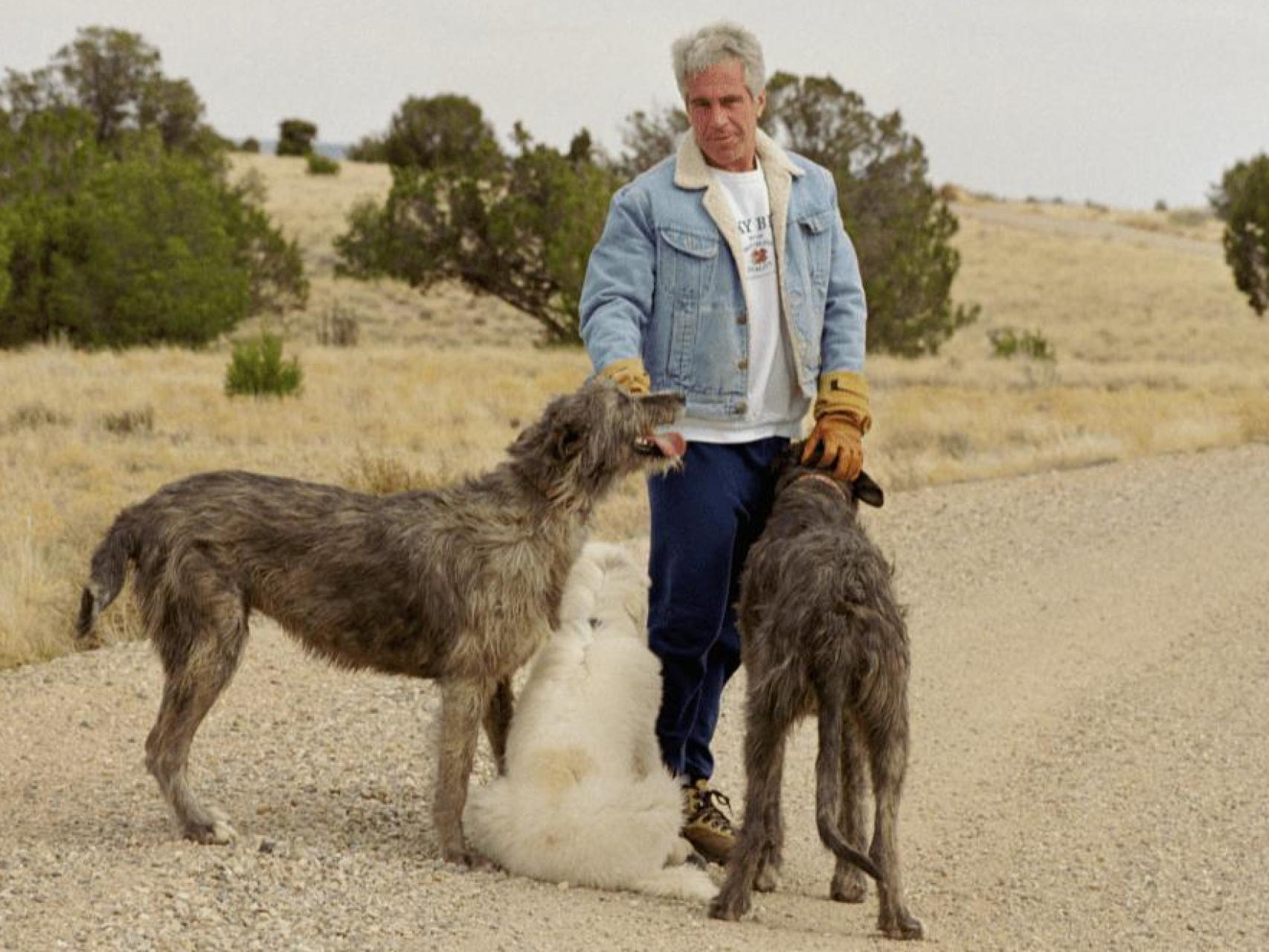 Jeffrey Epstein junto a varios perros en uno de los archivos desclasificados