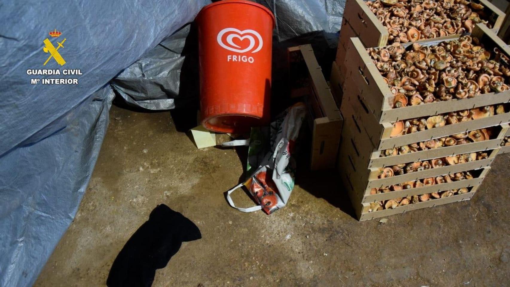 La tienda que fue atracada en Burgo de Osma.