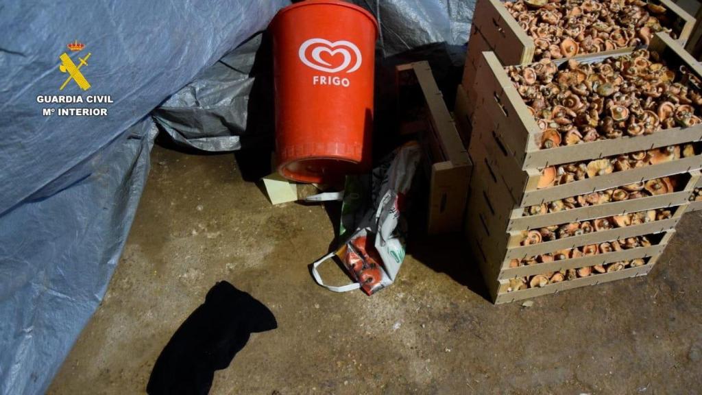 La tienda que fue atracada en Burgo de Osma.