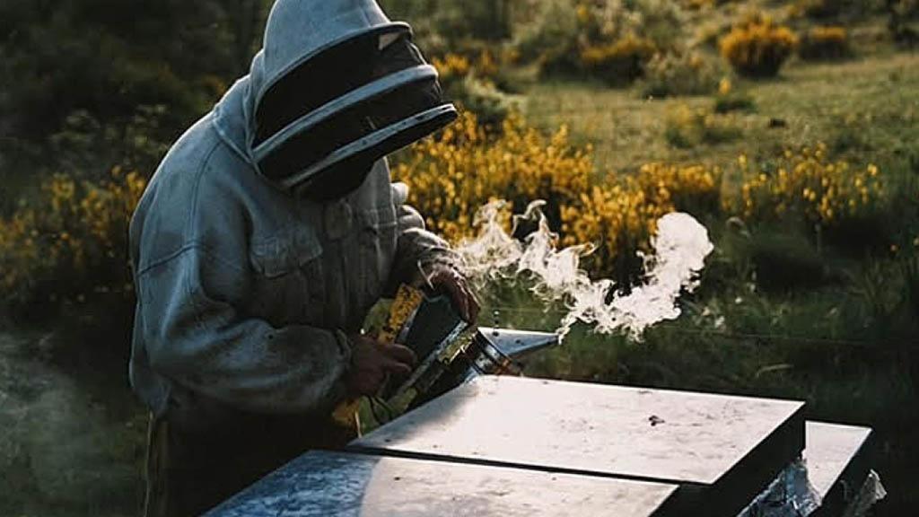 Preparación de la miel Gran Dujo.