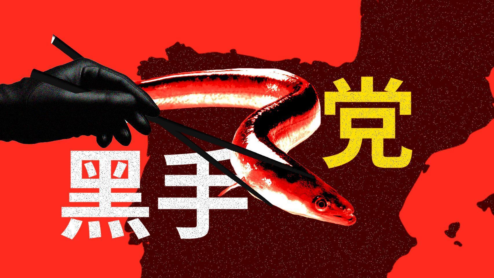 La mafia del  oro transparente : así se vende en China la angula del Cantábrico que pescan los furtivos, un negocio de 3.000 M