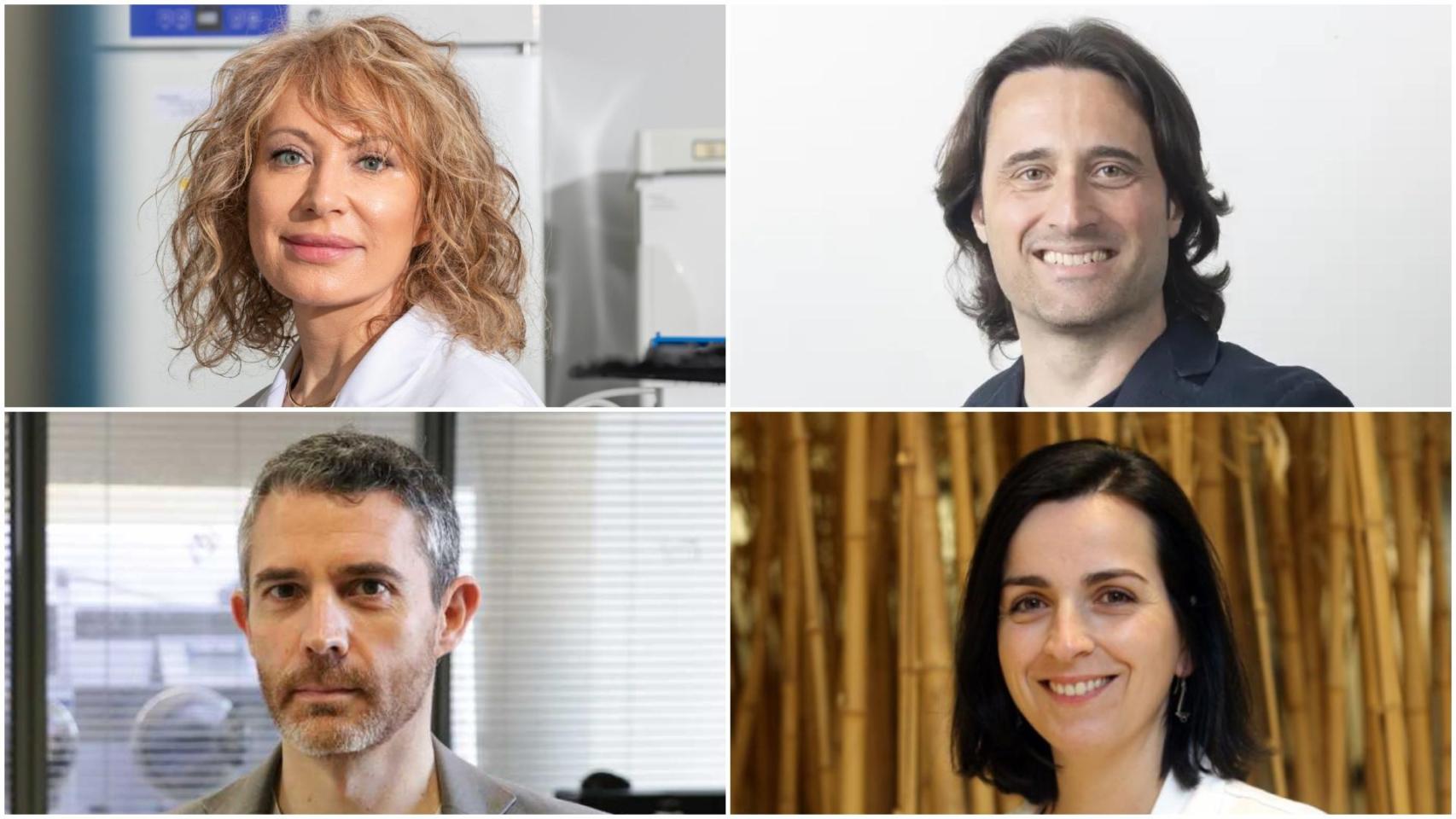 De izquierda a derecha y de arriba a abajo, Mabel Loza, Luis Pérez Freire, Jaime Martín y María de la Fuente