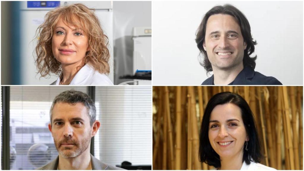 De izquierda a derecha y de arriba a abajo, Mabel Loza, Luis Pérez Freire, Jaime Martín y María de la Fuente