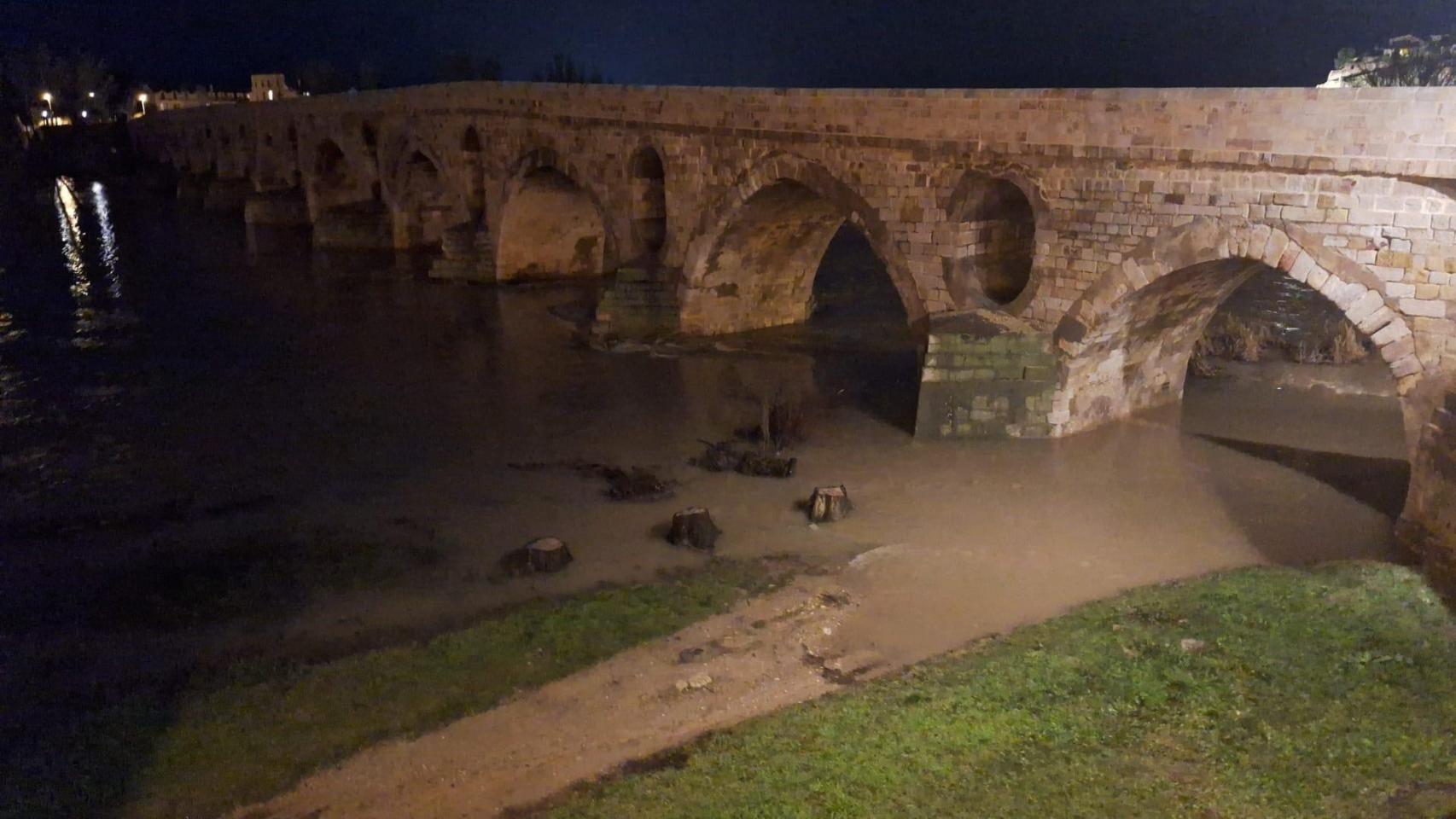 El río Duero anega el paseo de la margen derecha a su paso por Zamora