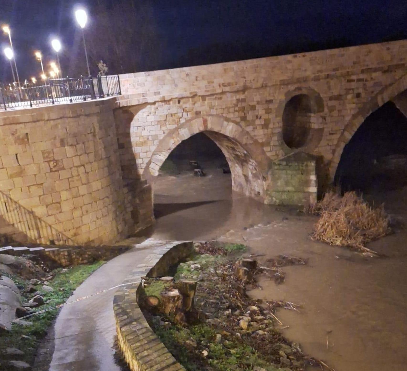El río Duero anega el paseo de la margen derecha a su paso por Zamora