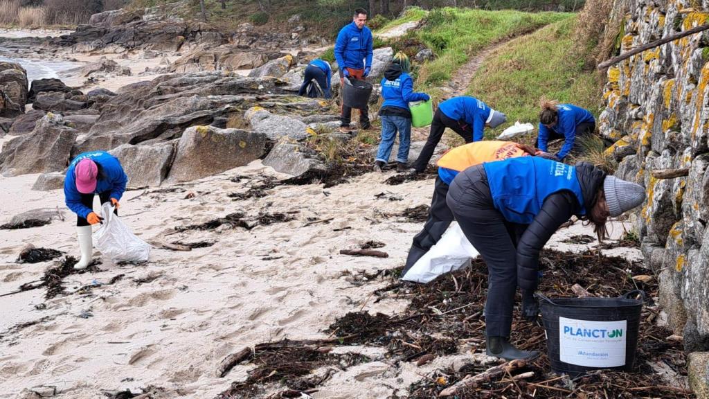 Imagen de la limpieza.