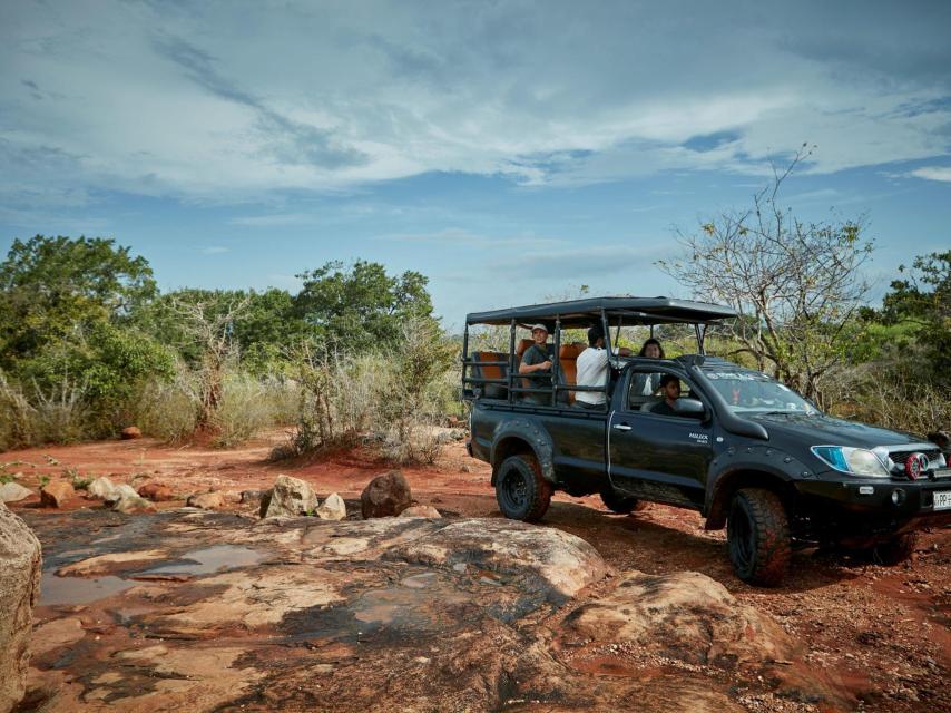 Safaris por el Parque Natural de Yala.