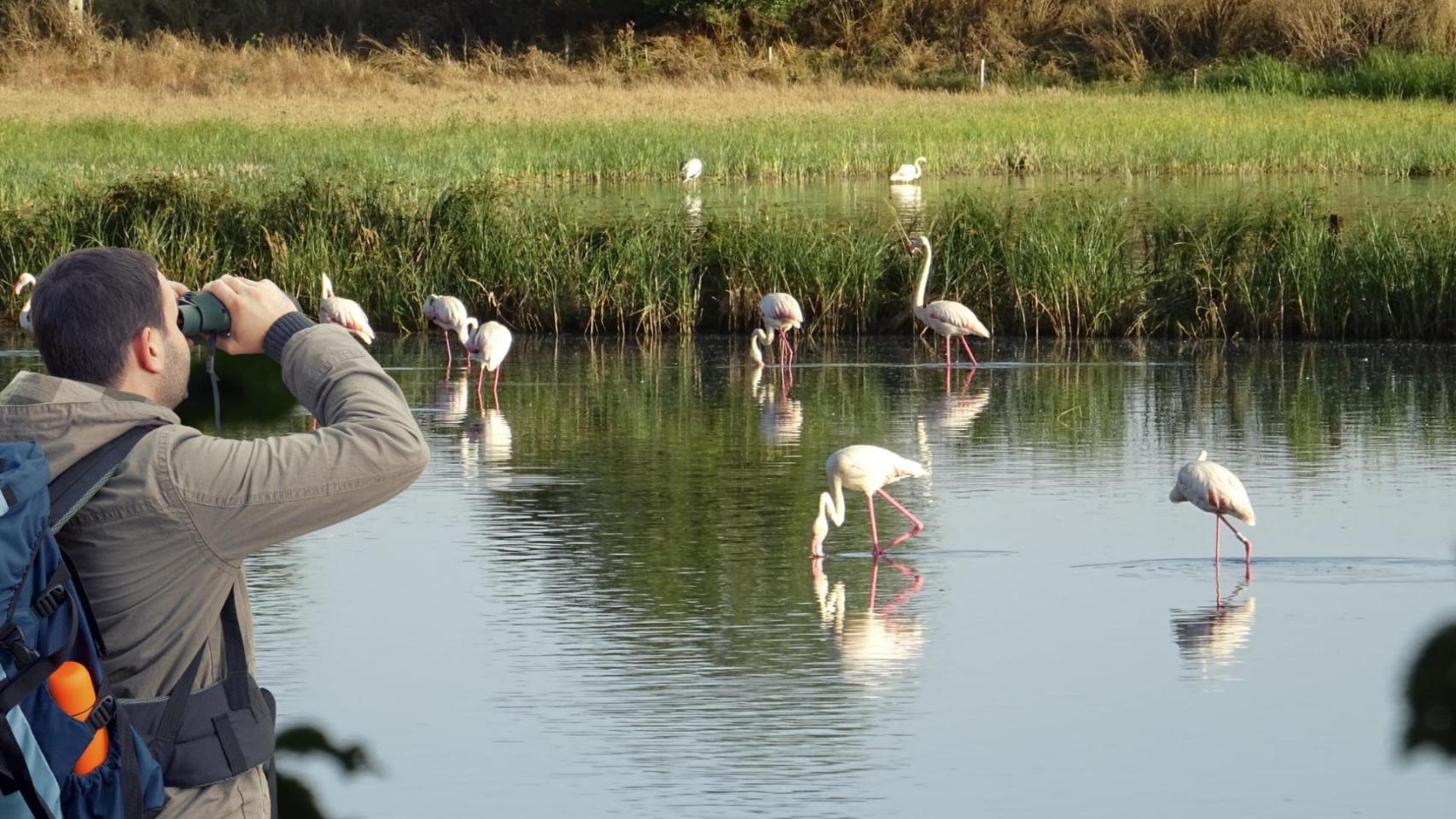 Una persona observando la Lagunas de Corral-Rubio, Pétrola y La Higuera.