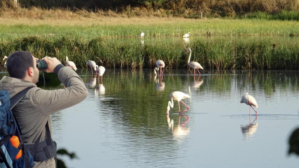 Una persona observando la Lagunas de Corral-Rubio, Pétrola y La Higuera.