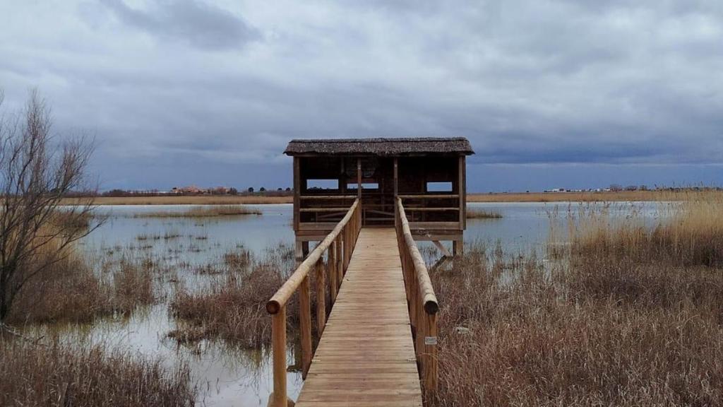 Caseta de observación del complejo lagunar de Alcázar de San Juan, Ciudad Real.