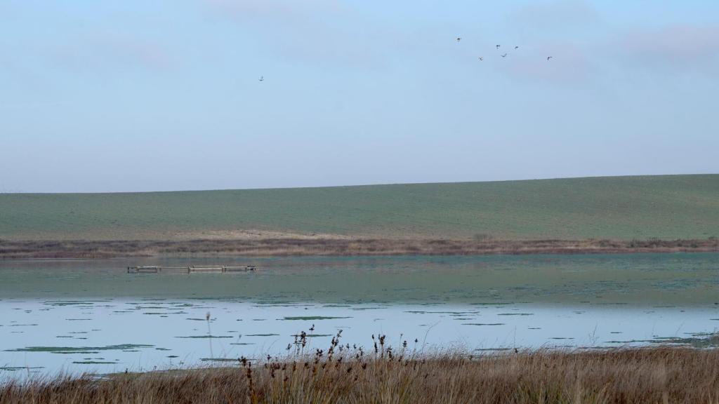 Humedal de Bodón Blanco en Bocigas (Valladolid)