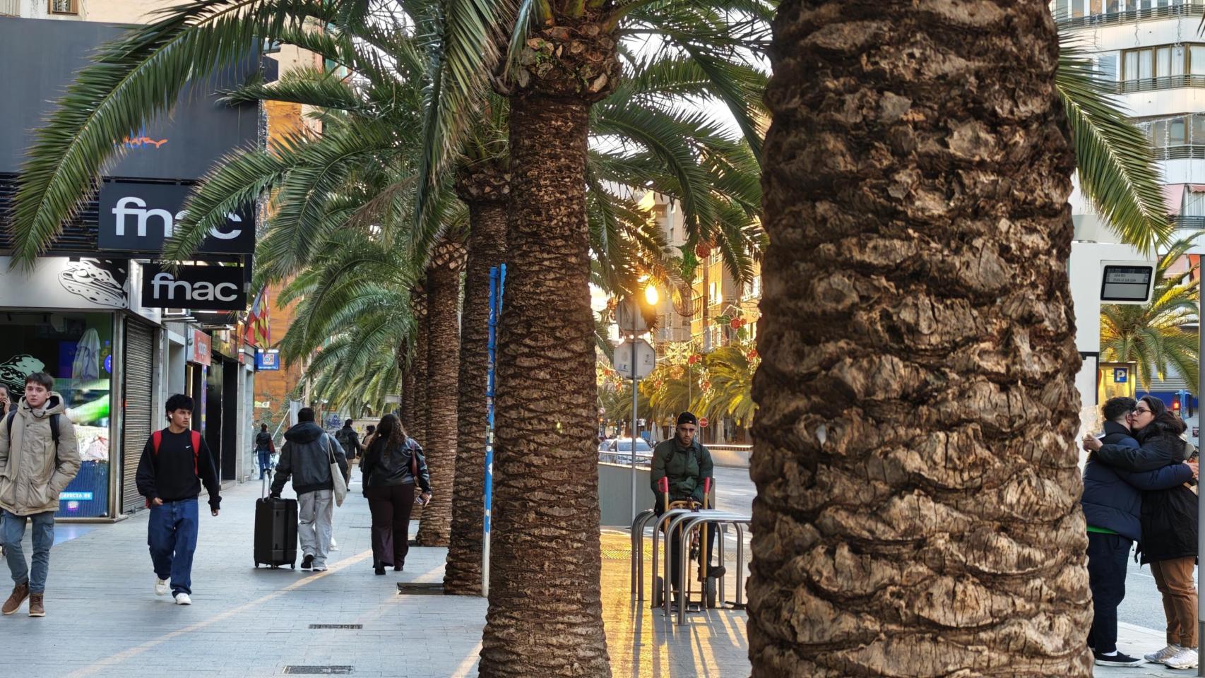 Vista de la avenida de la estación de Alicante este enero.