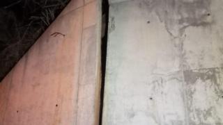 La Diputación corta al tráfico la carretera ZA-P-1510 por motivos de seguridad en el paso bajo la autovía