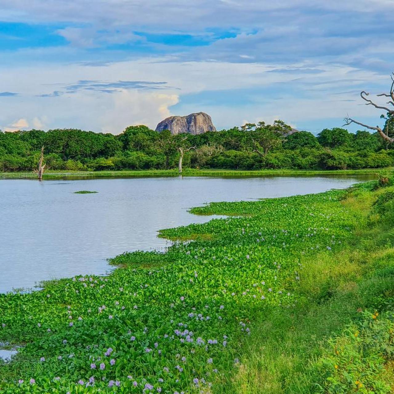 Imagen del Parque Nacional de Yala.