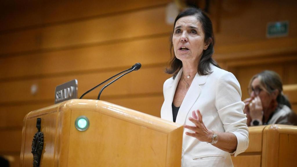 La senadora del PP Pilar Rojo interviene durante un pleno en el Senado, en una foto de archivo.