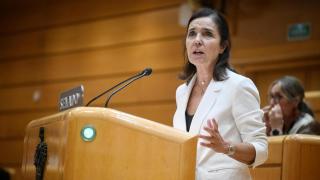 La senadora del PP Pilar Rojo interviene durante un pleno en el Senado, en una foto de archivo.