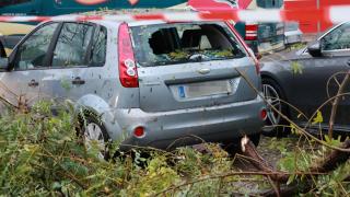 Coches destrozados por las ramas caídas en Sevilla.