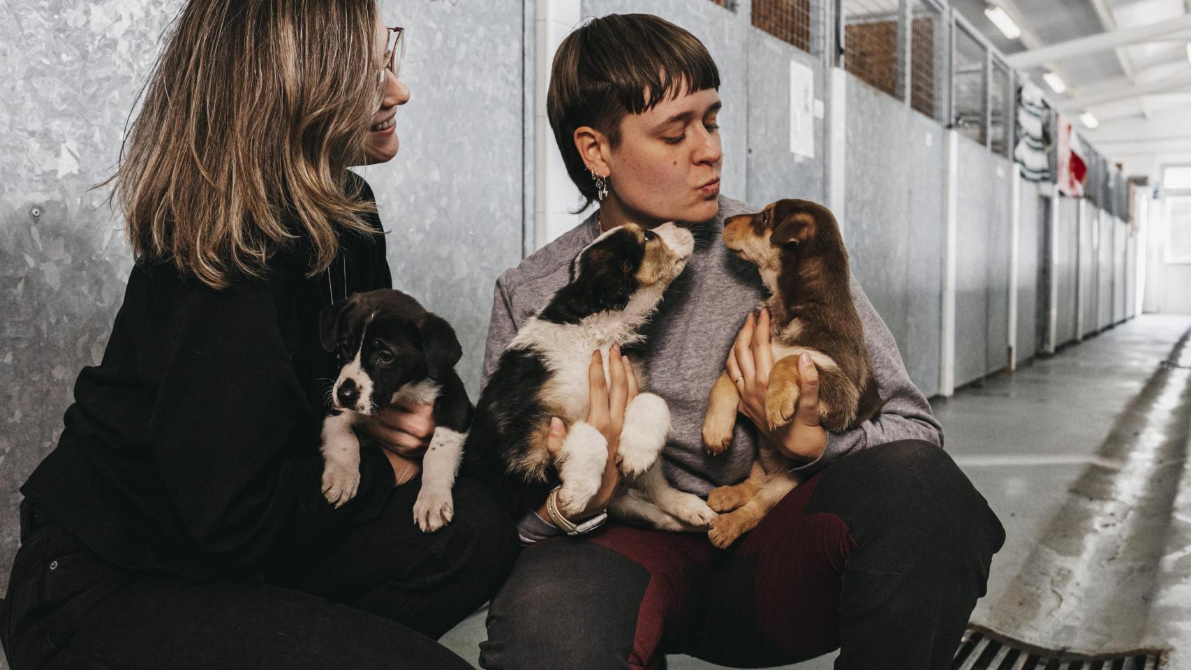 Dos chicas haciendo voluntariado en Salvando Peludos.