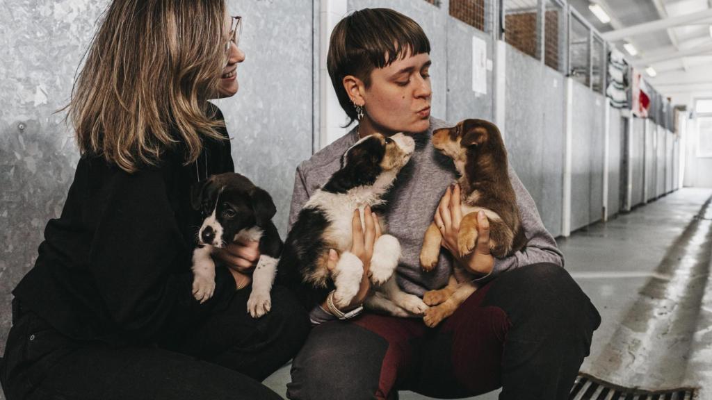 Dos chicas haciendo voluntariado en Salvando Peludos.