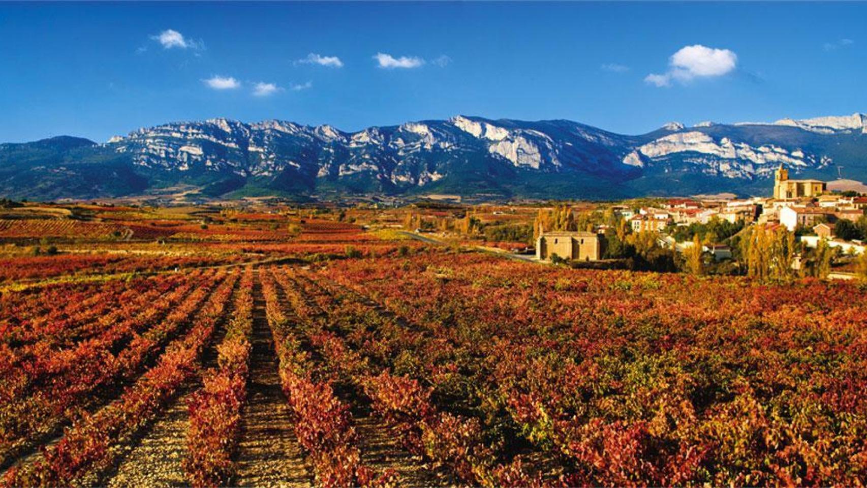 Una panorámica de la Rioja Alavesa en todo su esplendor.