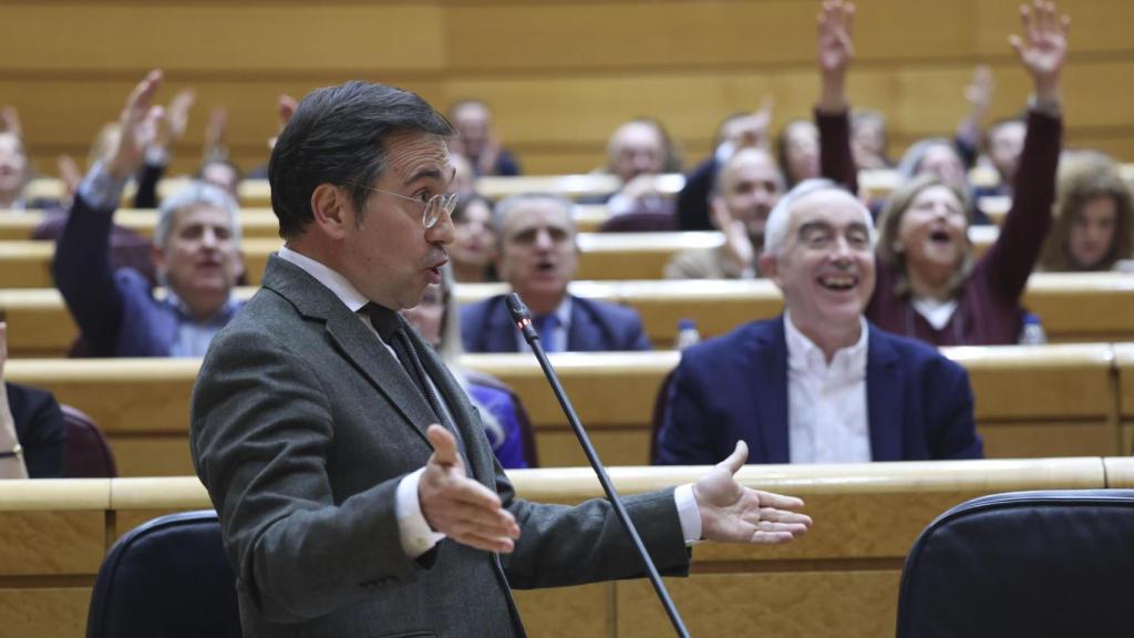 José Manuel Albares, ministro de Exteriores, este martes en la sesión de control del Senado.