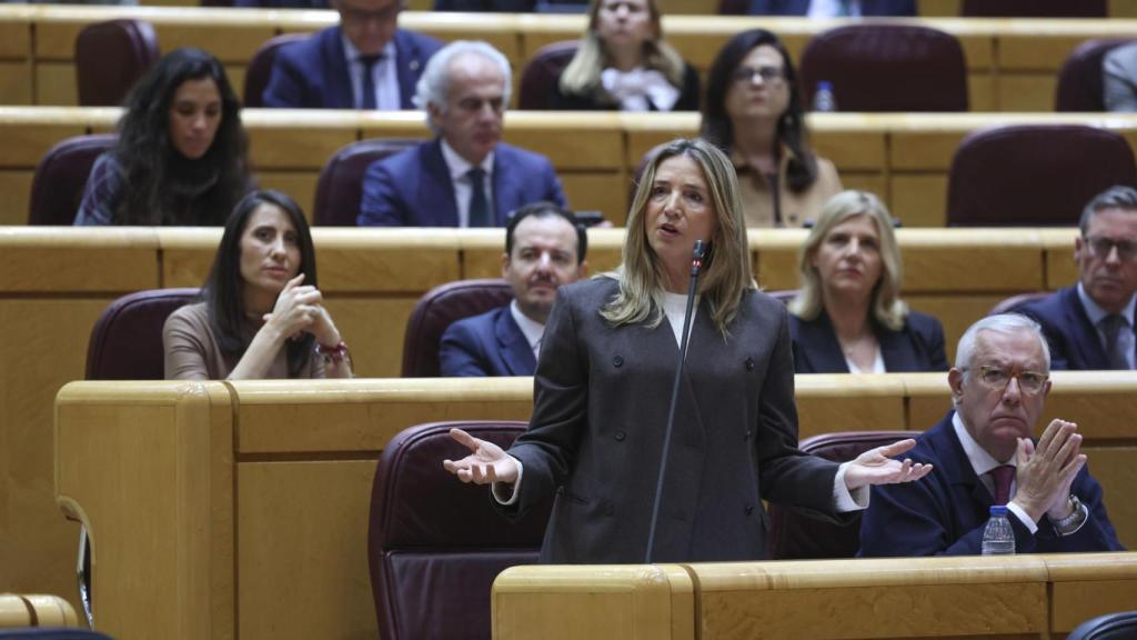 La senadora del PP Alicia García, este martes durante la sesión de control al Gobierno en el pleno del Senado.