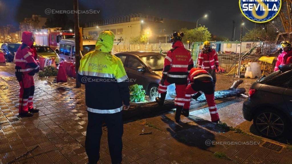Ábrol caído en Sevilla por la borrasca Leonardo.