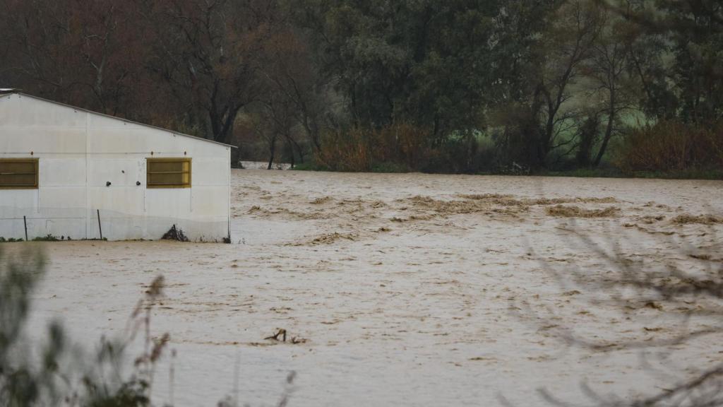 Estado en el que se encuentra el caudal del río Teba.
