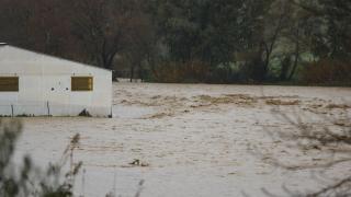 Estado en el que se encuentra el caudal del río Teba.