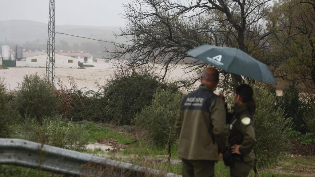 Varios agentes de medioambiente observan el caudal del río Teba.