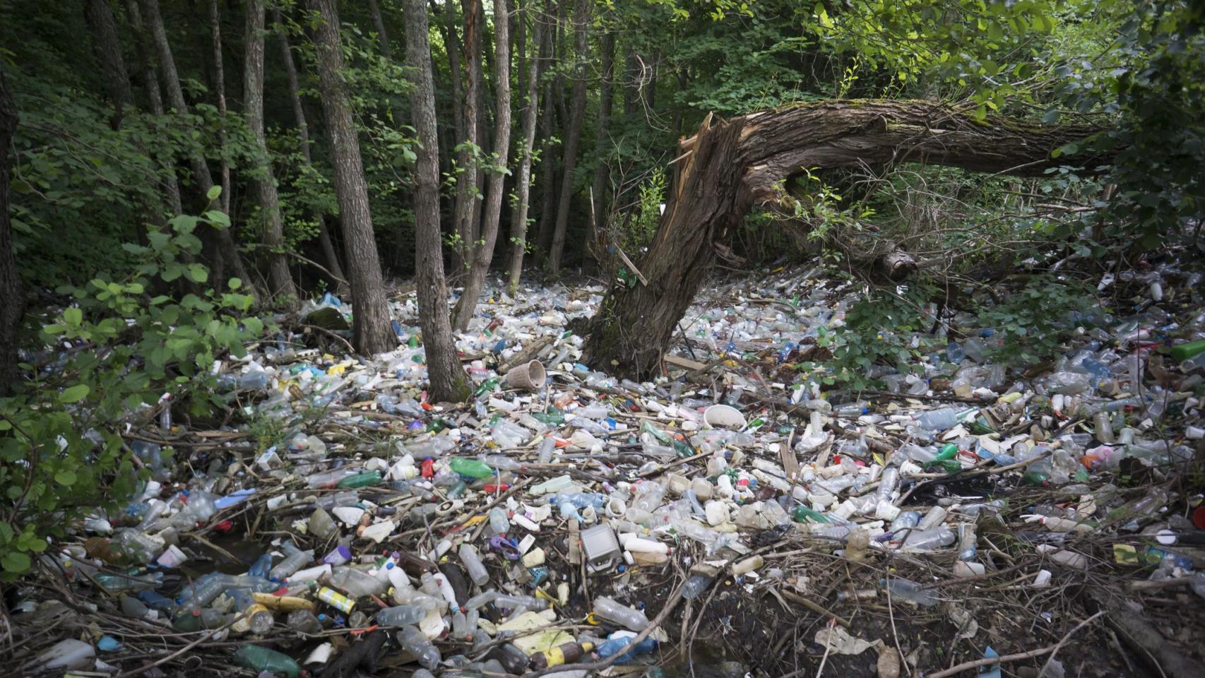 Imagen de archivo de un bosque lleno de plásticos.