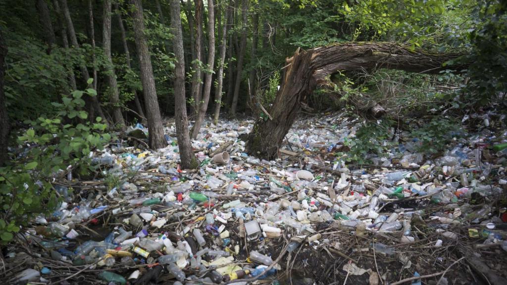 Imagen de archivo de un bosque lleno de plásticos.